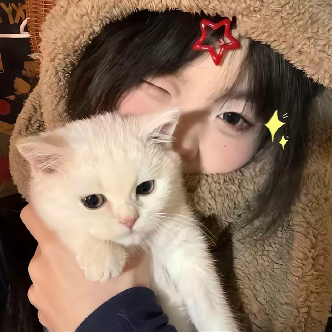 不吃香菜੭