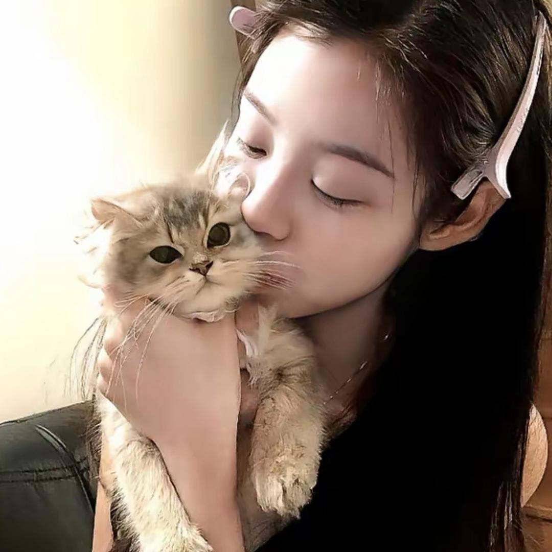 小麦风琴本定制