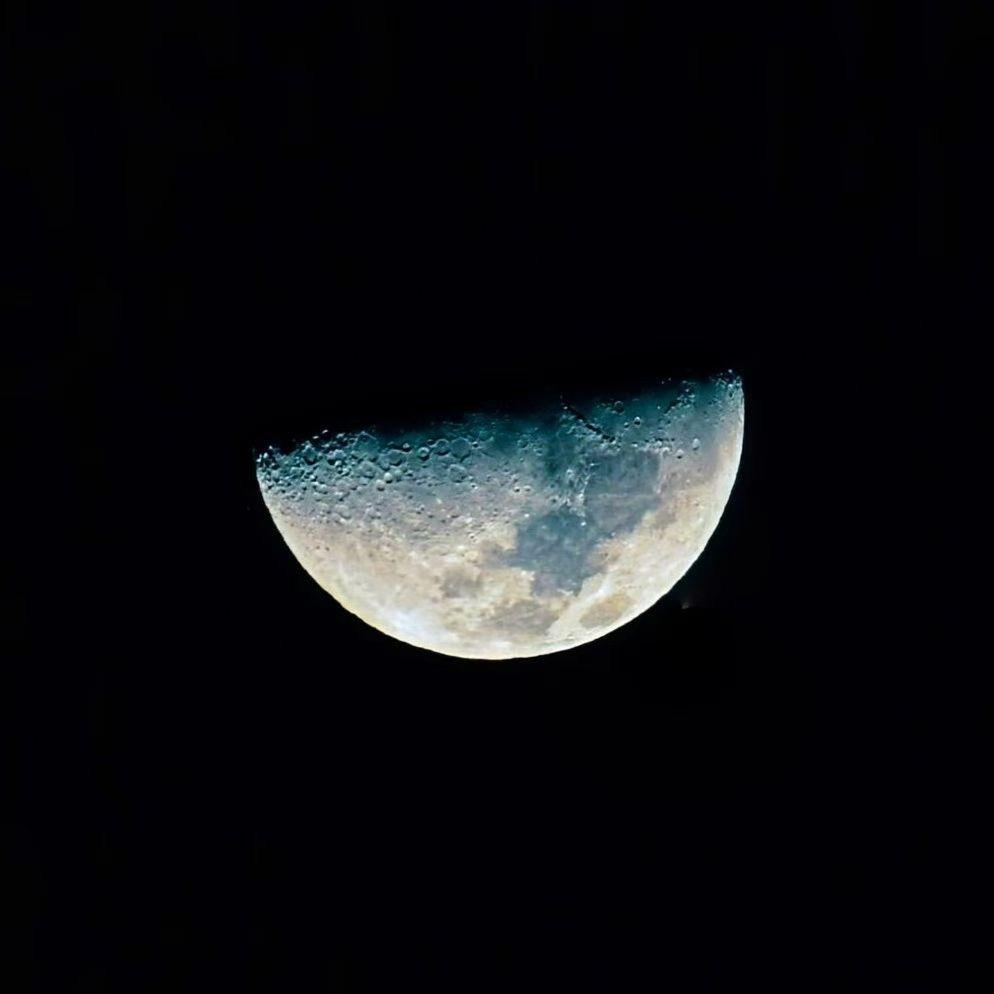 Bougainvillea ᴬˣⁱ🍍ᴺ