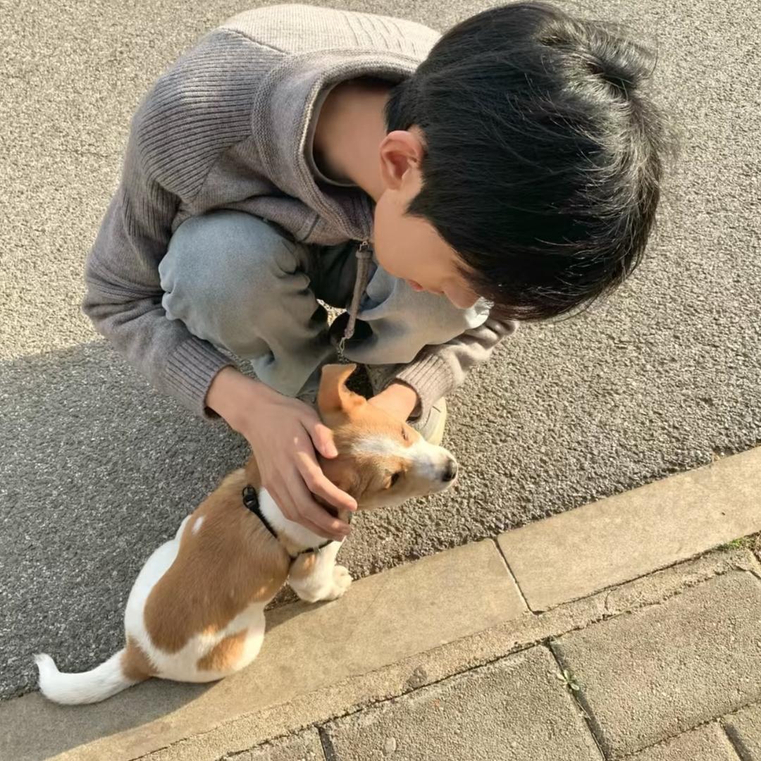 ㅤㅤㅤ