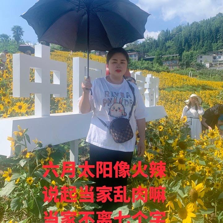 贵州老石
