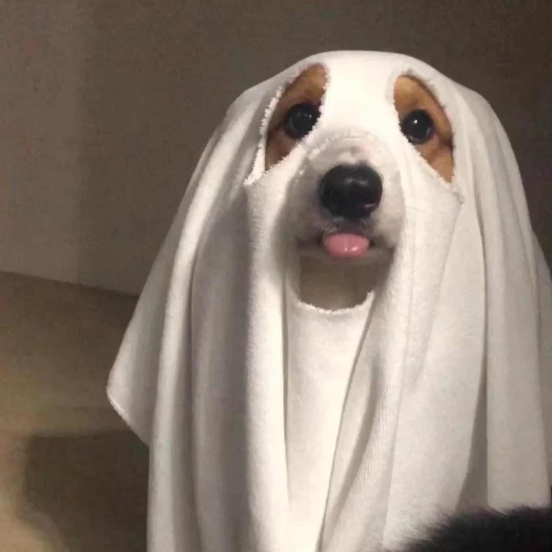 长岛原来没有雪