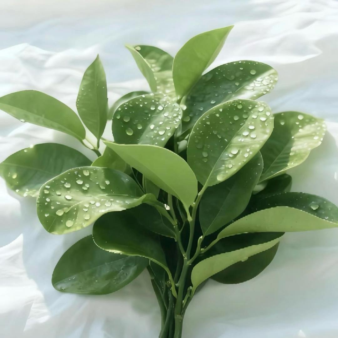 肉🥩多多（一周练七次）