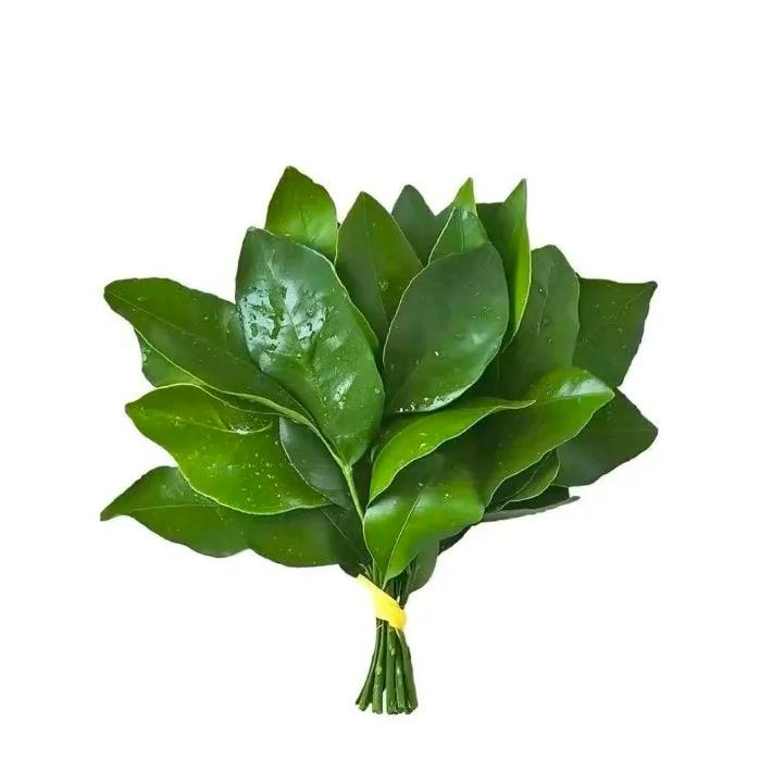 ㅤㅤㅤㅤㅤㅤㅤㅤ