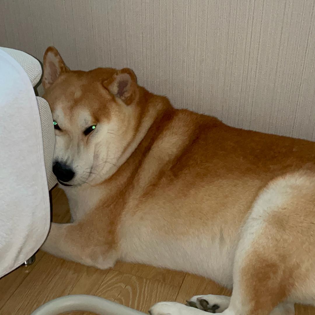 富贵儿就是命好