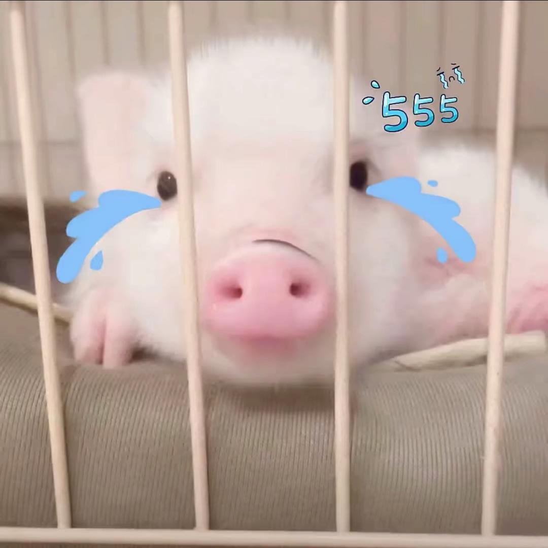 tt