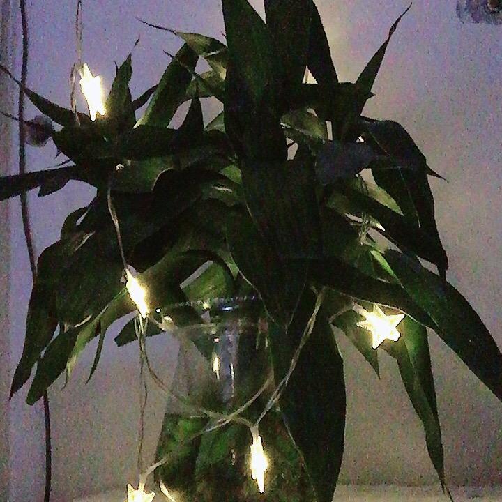 王阿姨