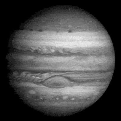 不蜻蜓（第五人格）