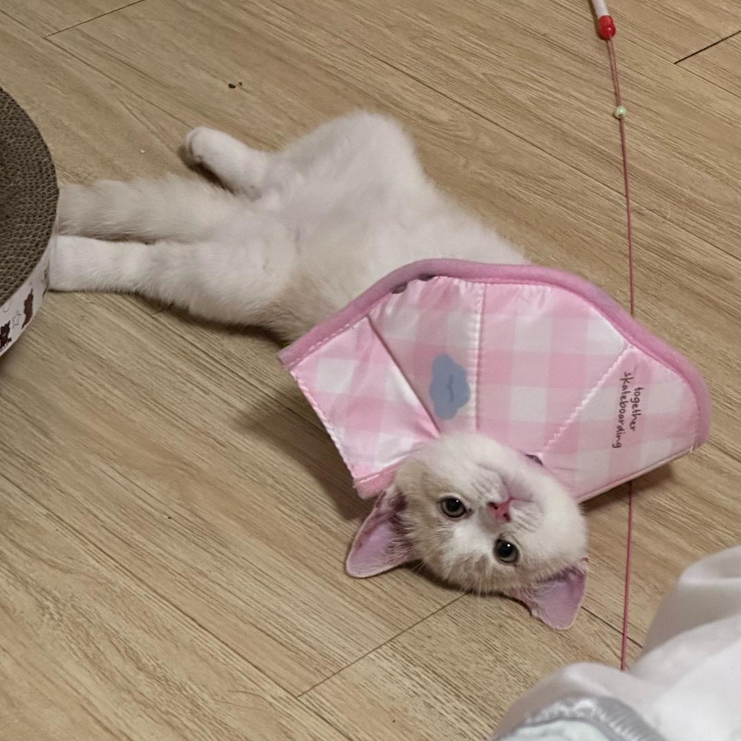 饭是抢来的