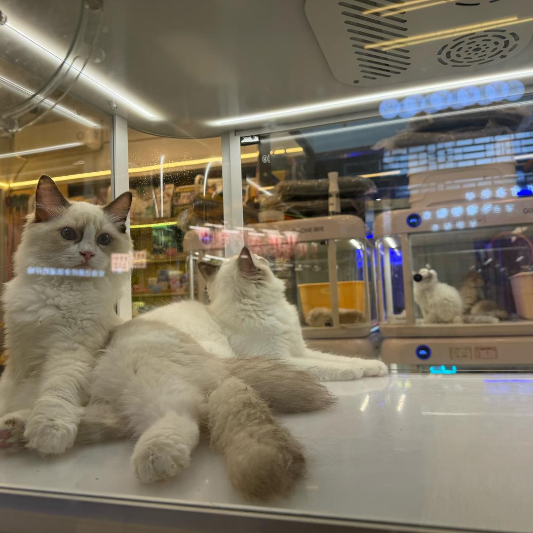 开心每一天