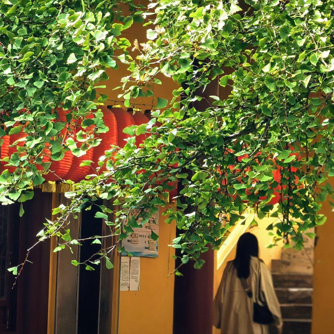 米奇爱吃冰淇淋🍦