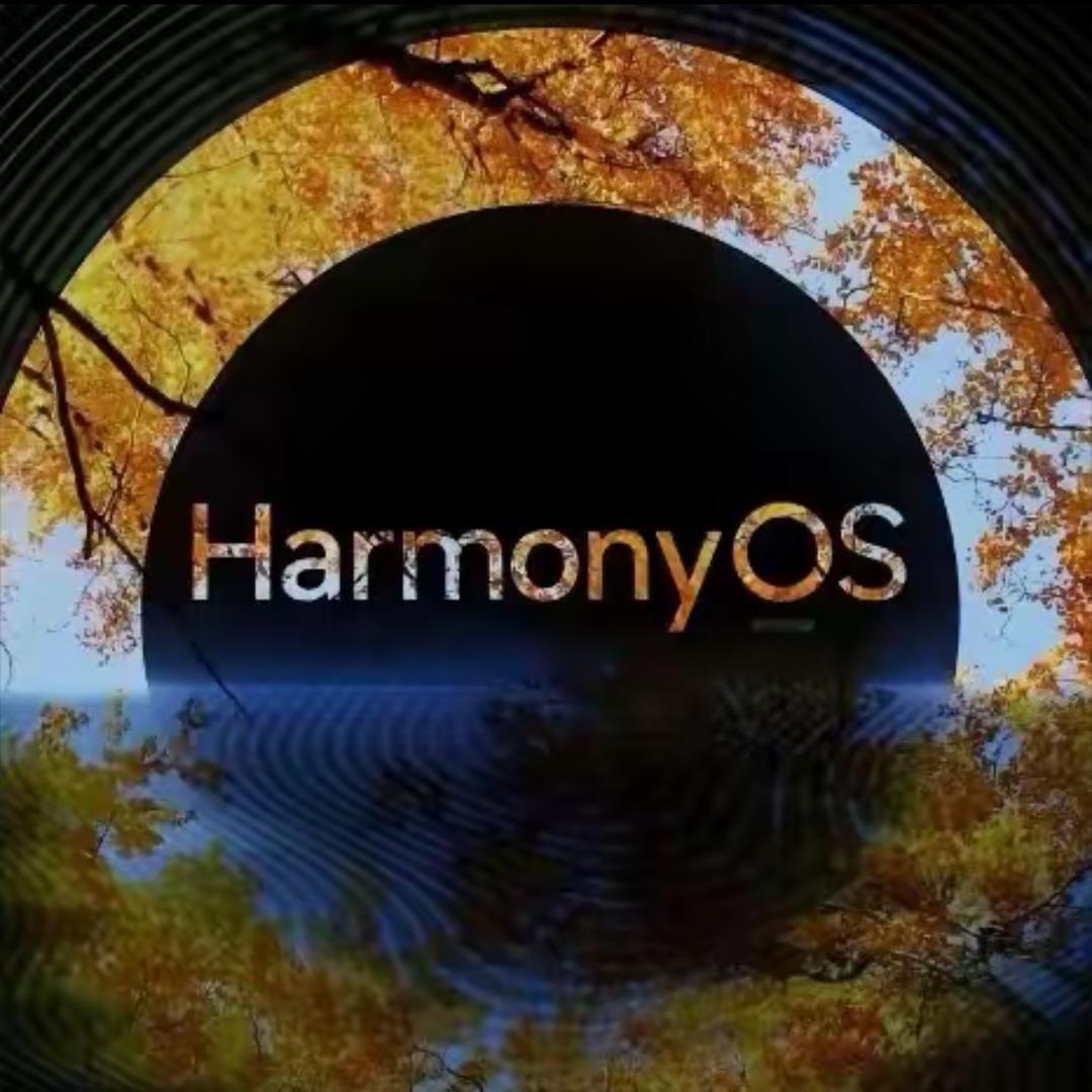 HUAWEI科技（万达店）