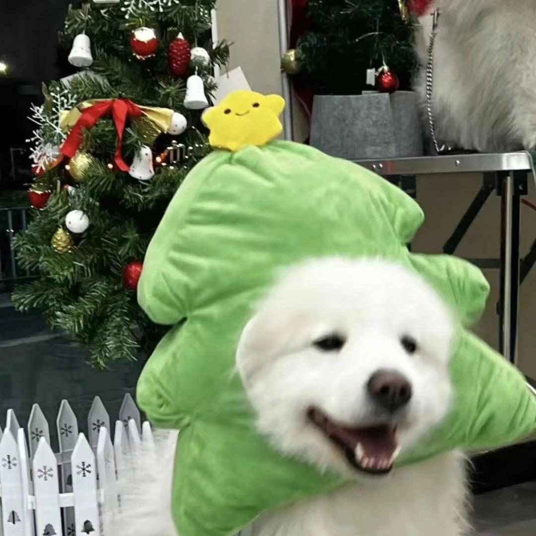 等待后面是等待🥕