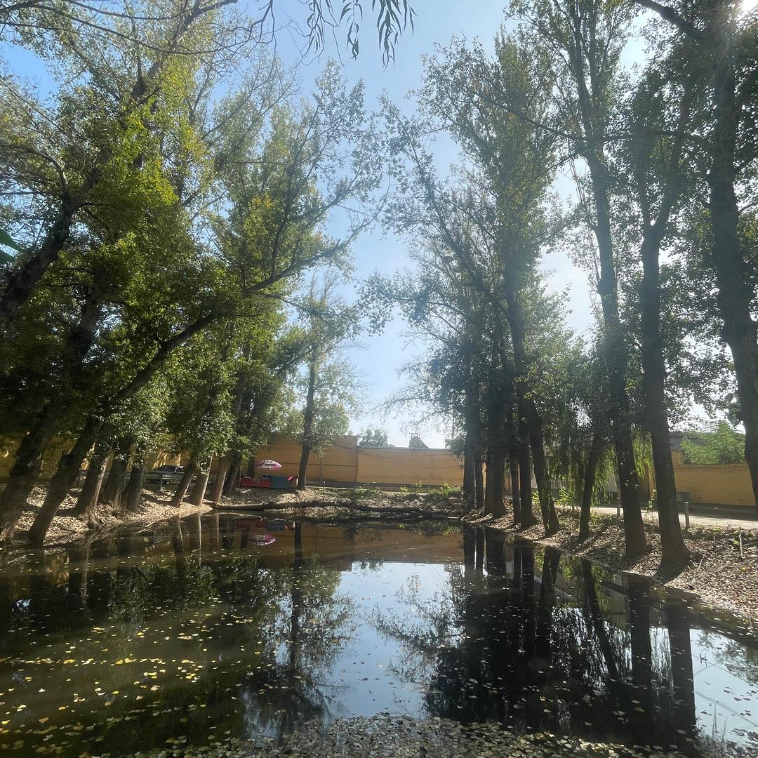 羅家小院