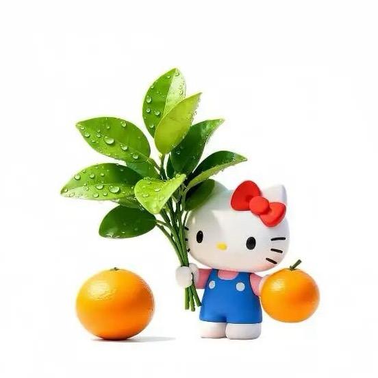 顺顺尼