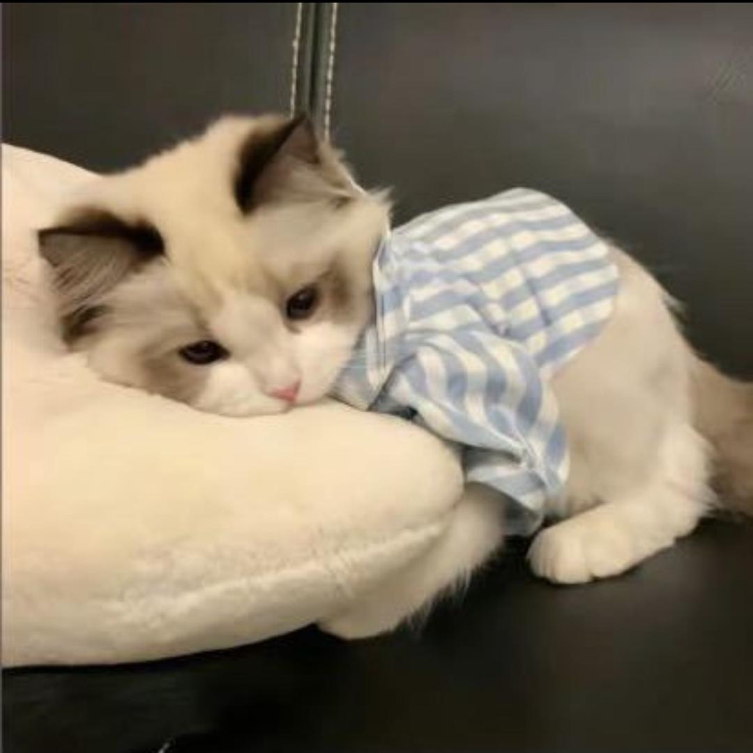 ₆君