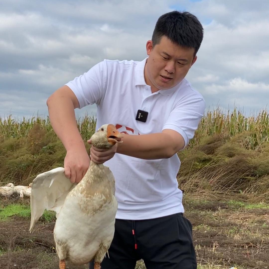 吉.