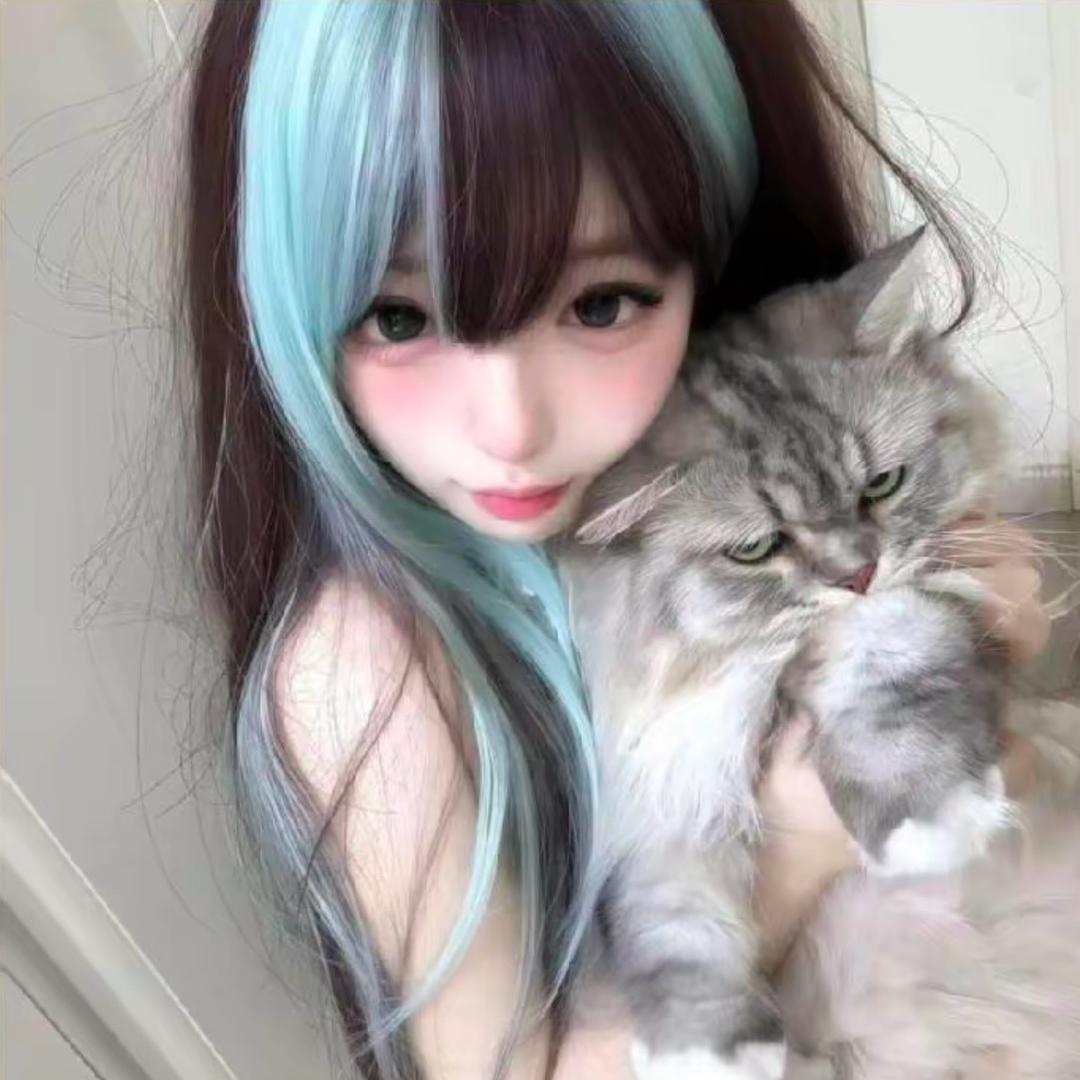 Y总