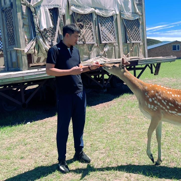 十年