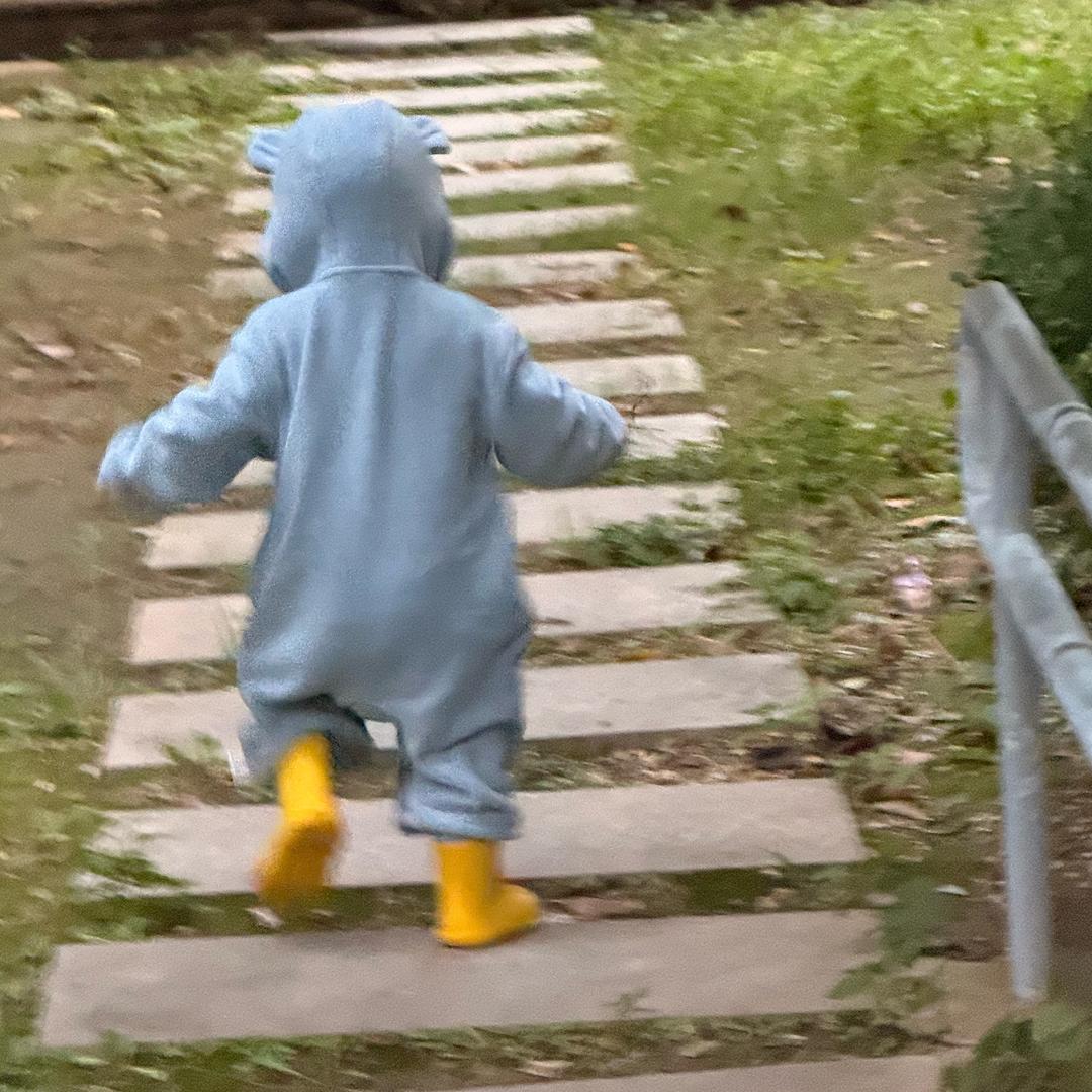 一颗南瓜叶