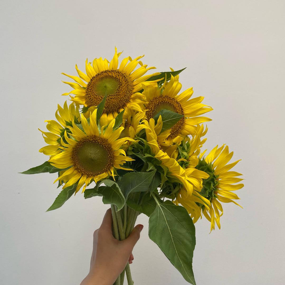 红尘缠指头像