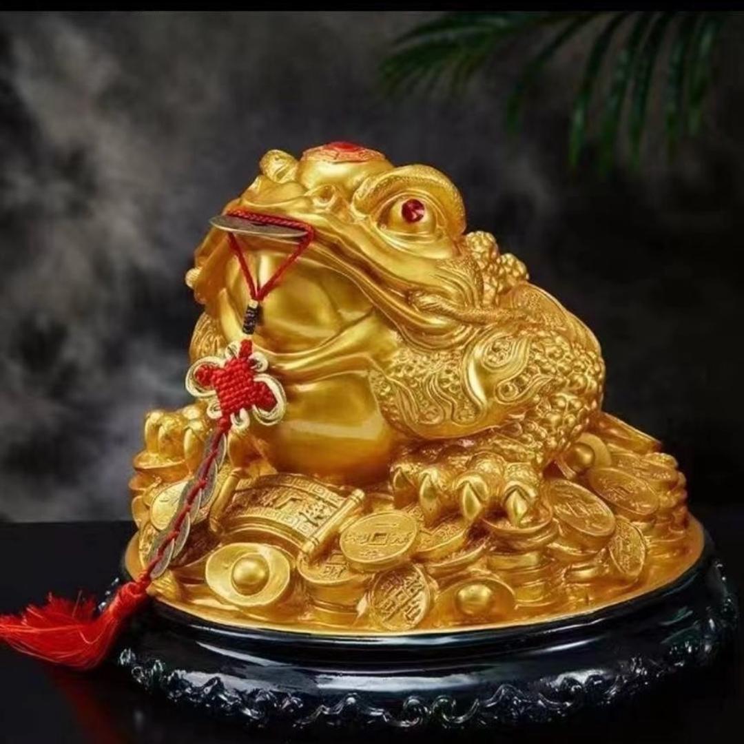 高考完了