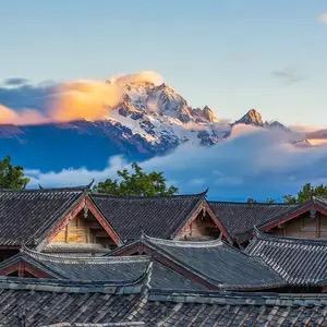 夏雨藏品☀️西藏山货