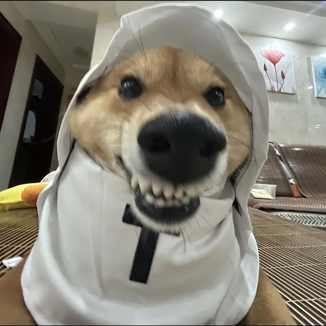 是寻常