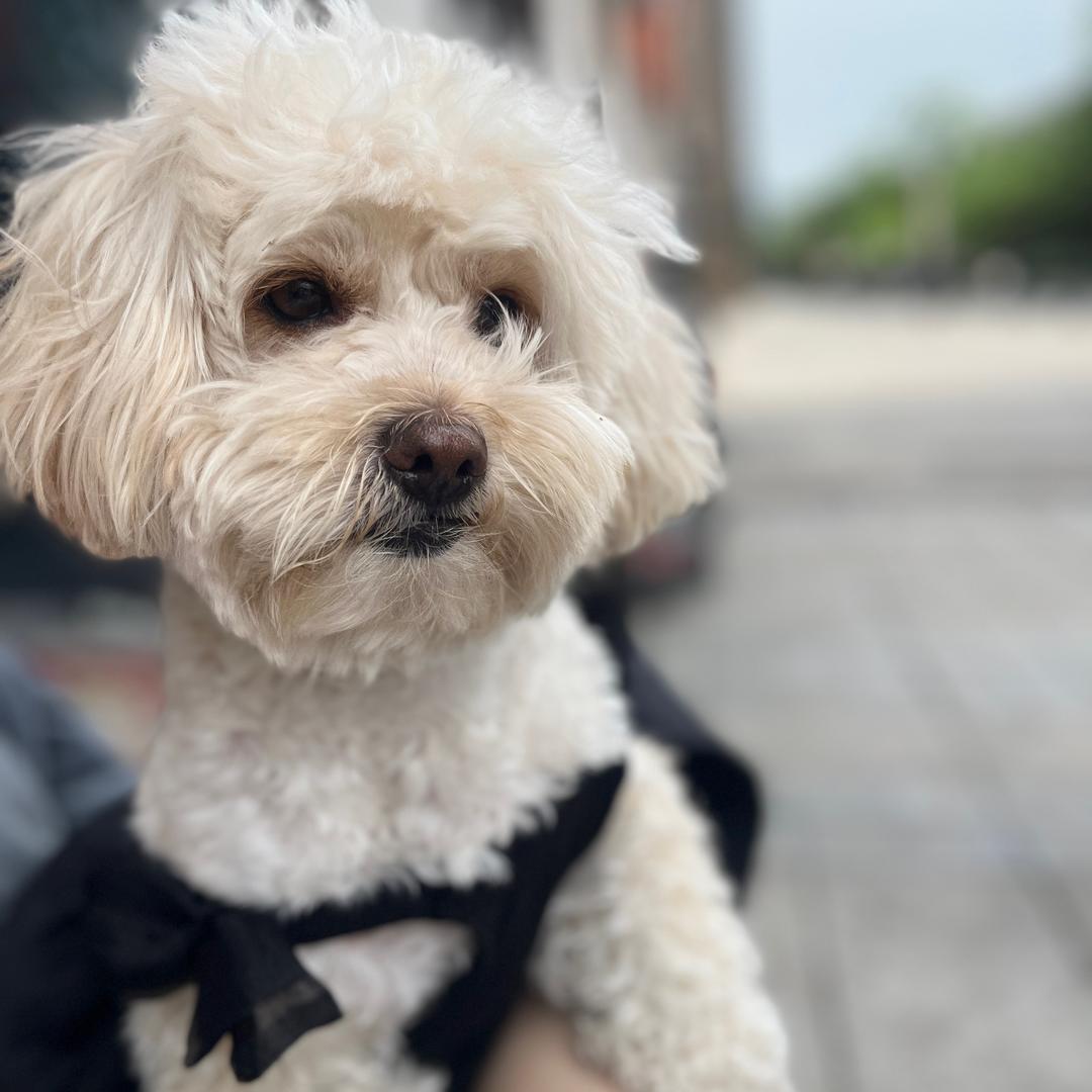 臭臭要抱抱(好物分享)