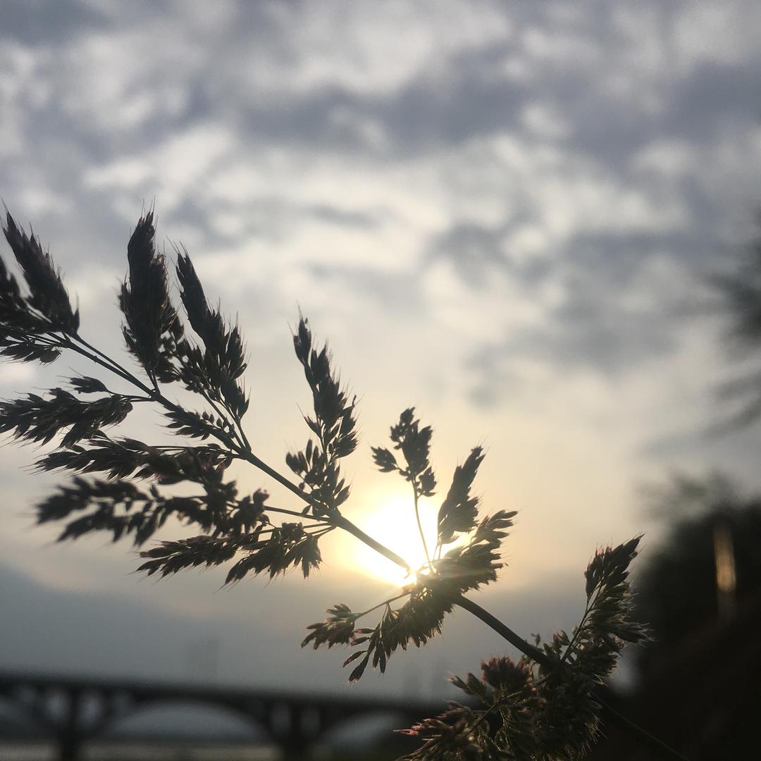 四川特产洪雅馆