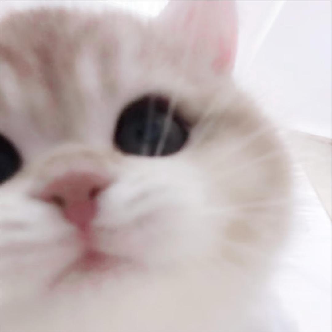 天真以为