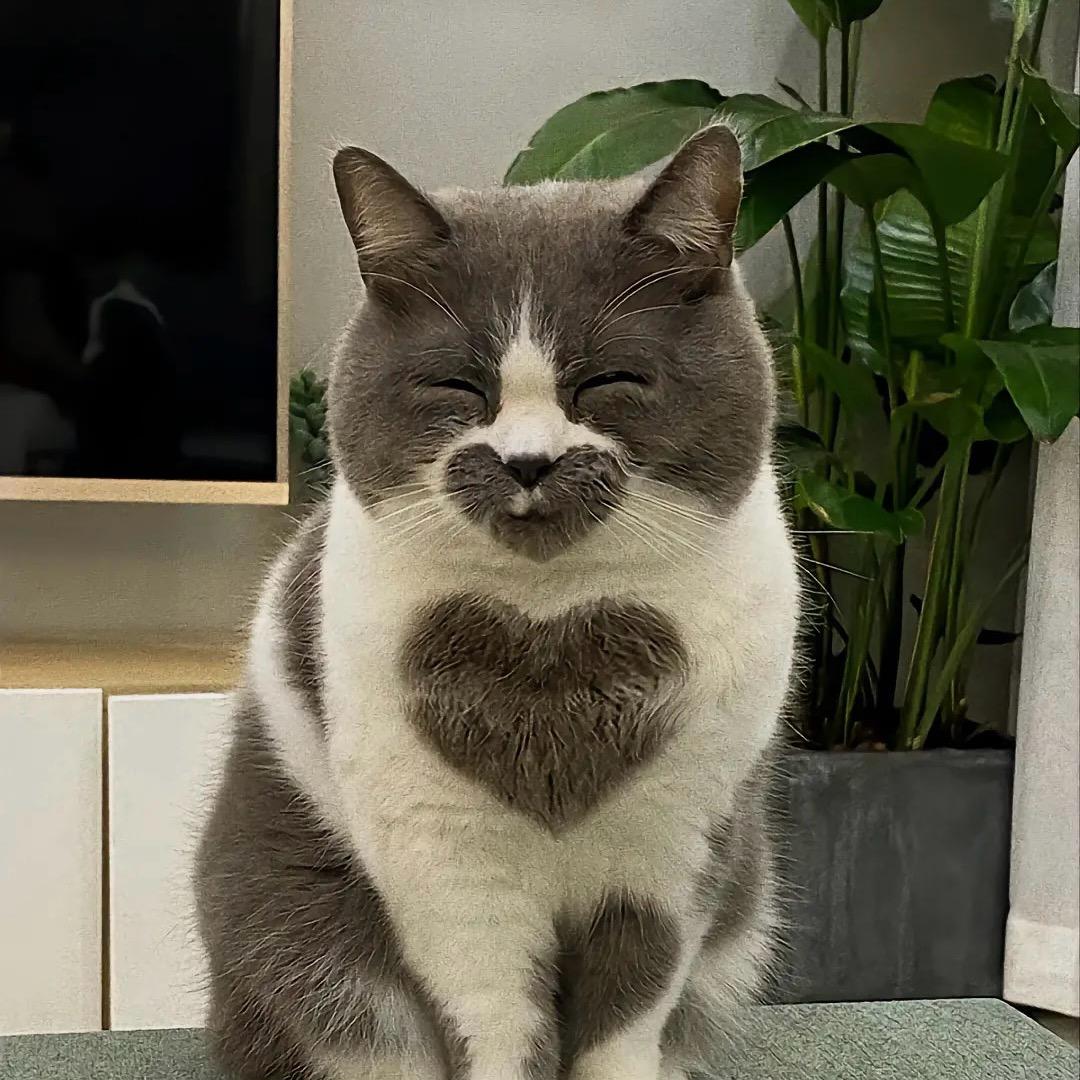 ￣^￣゜浩然