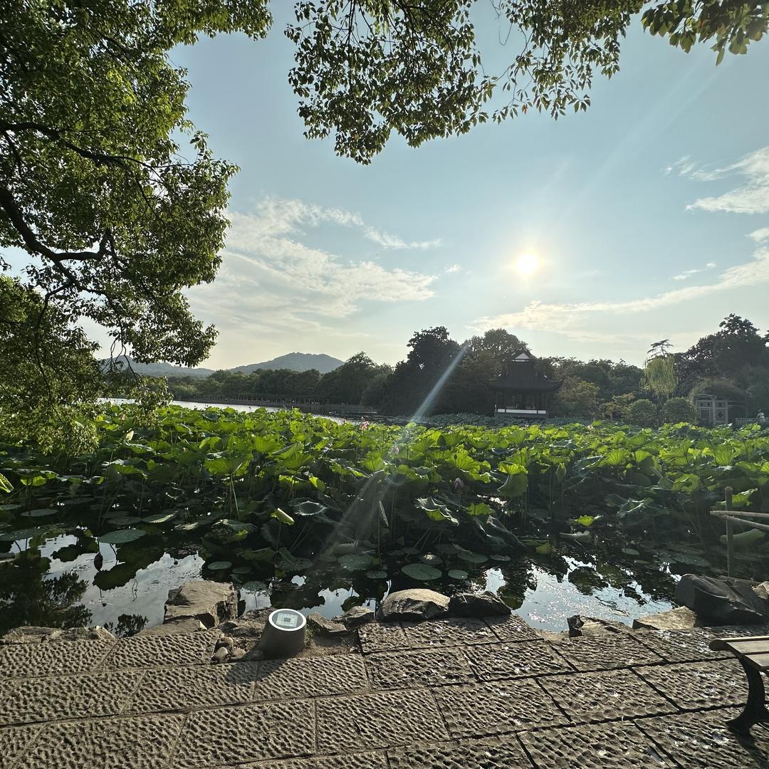 乐丰田源蔬菜基地