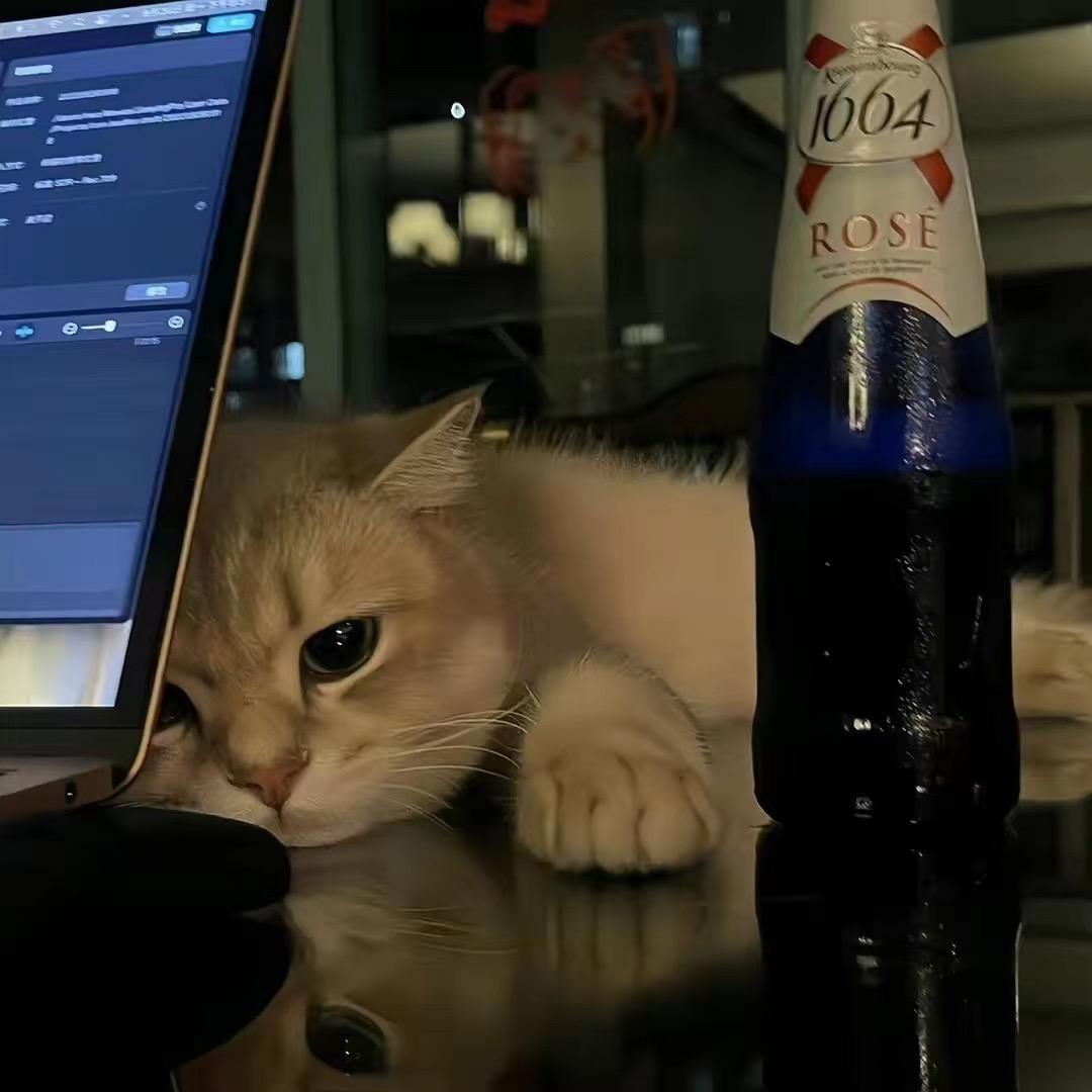 Zzzzzz558