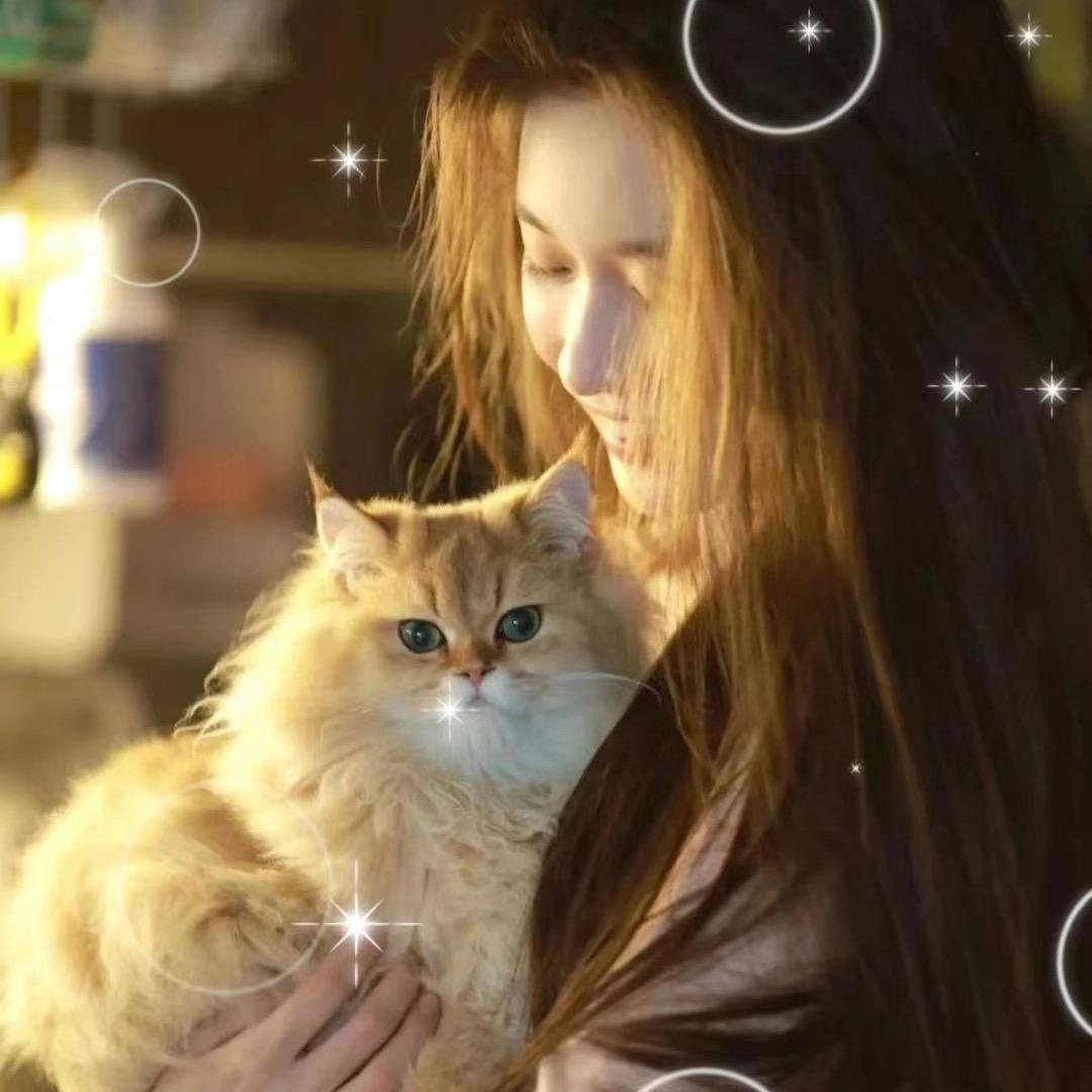 加肥猫