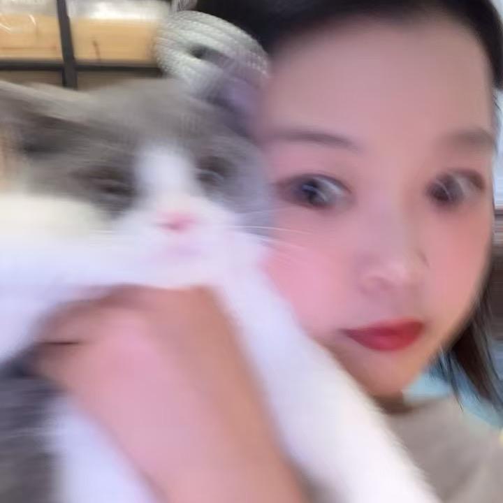 苏利文