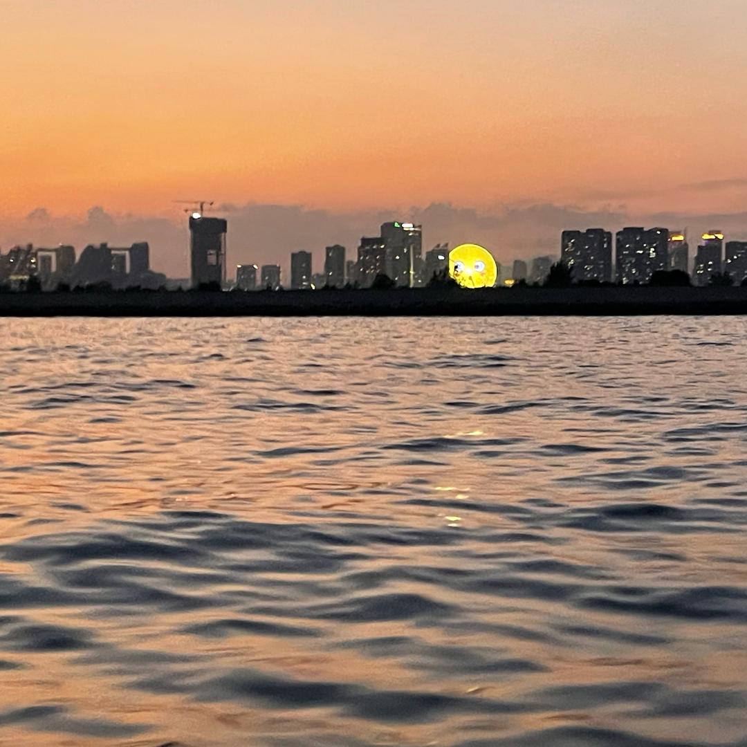 不是很有趣的酒蒙子