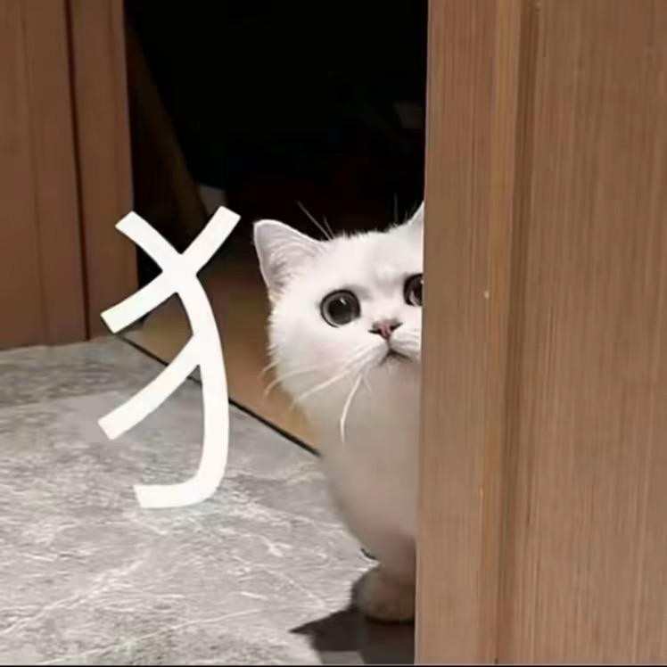 被粥粥可爱哭了