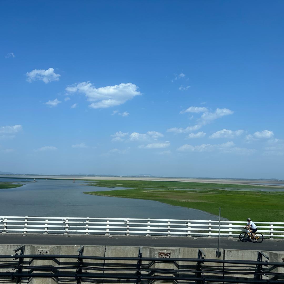 大可