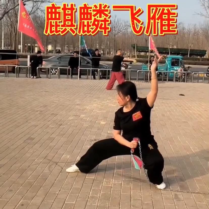 麒麟飞雁