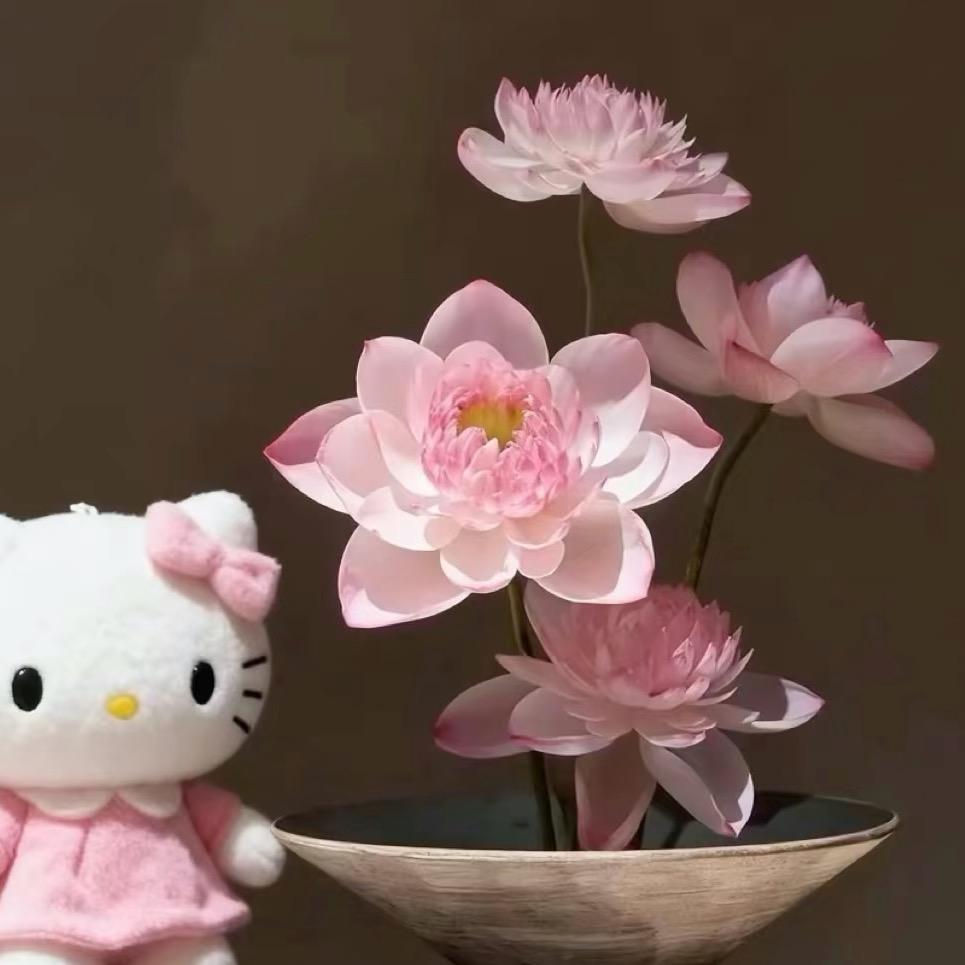 🌸~~