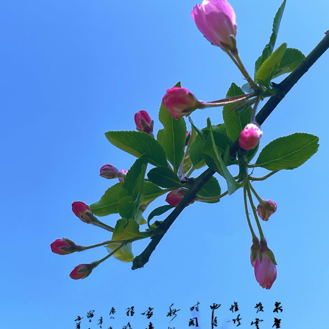阿柱