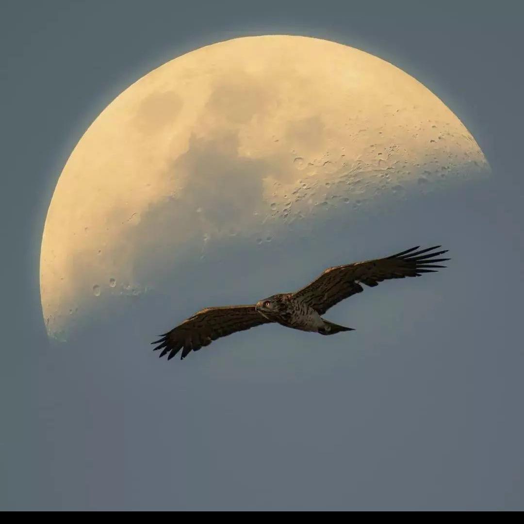 简昙