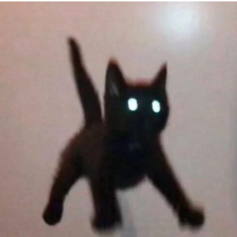 十個排球腦袋🏐