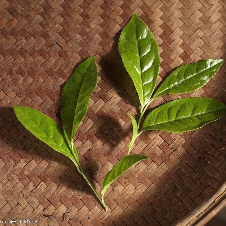松阳县八月茶叶(专注性价比)