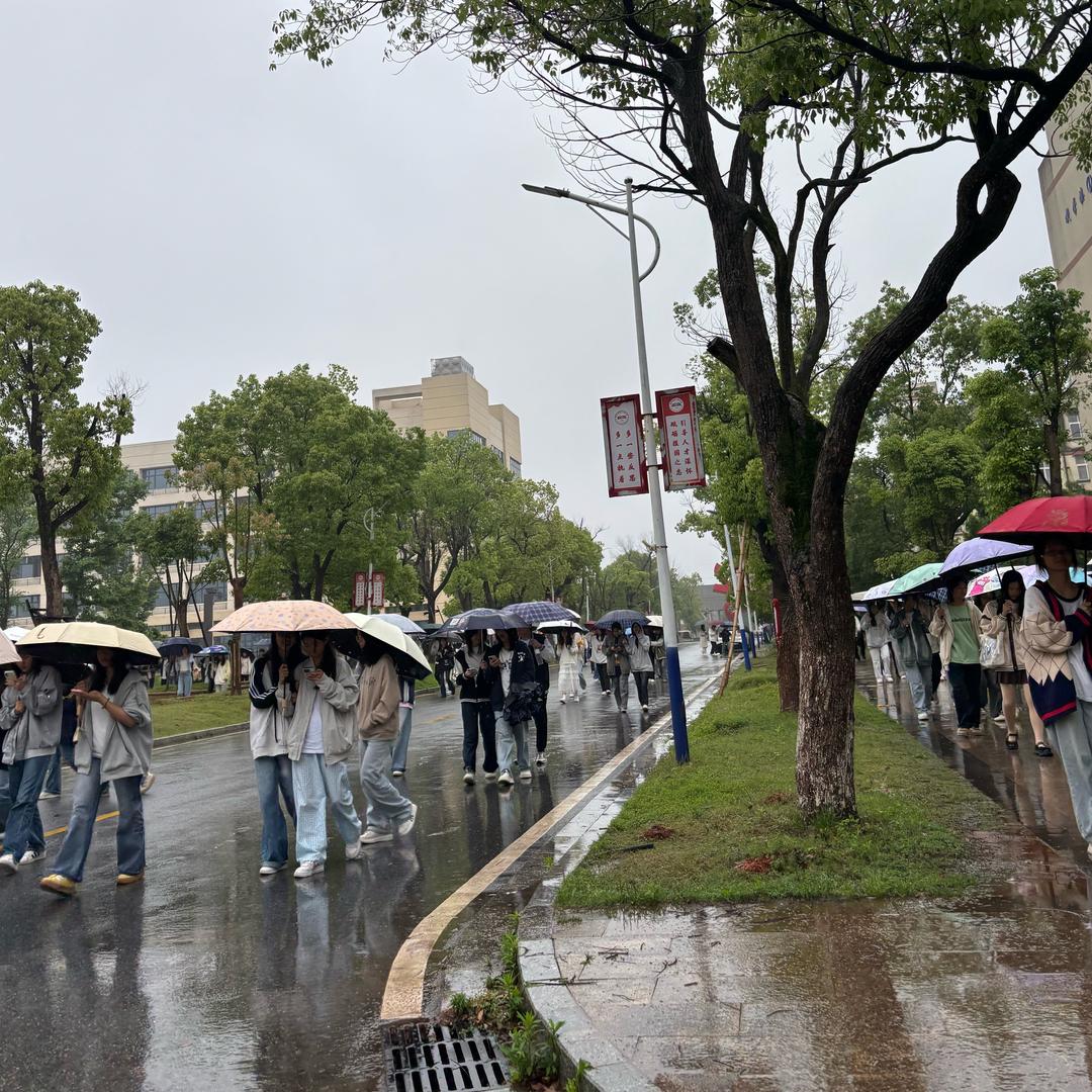 分享教育知识的👍