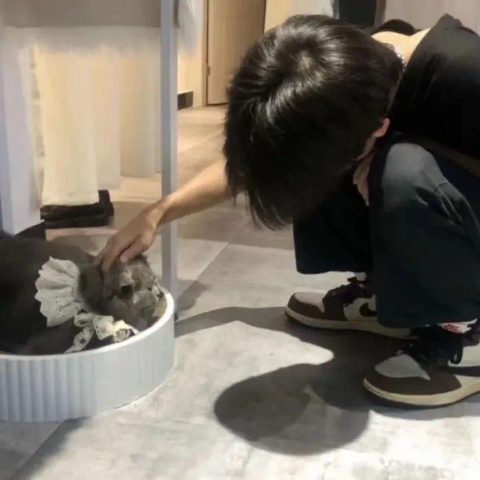 辣椒酱（