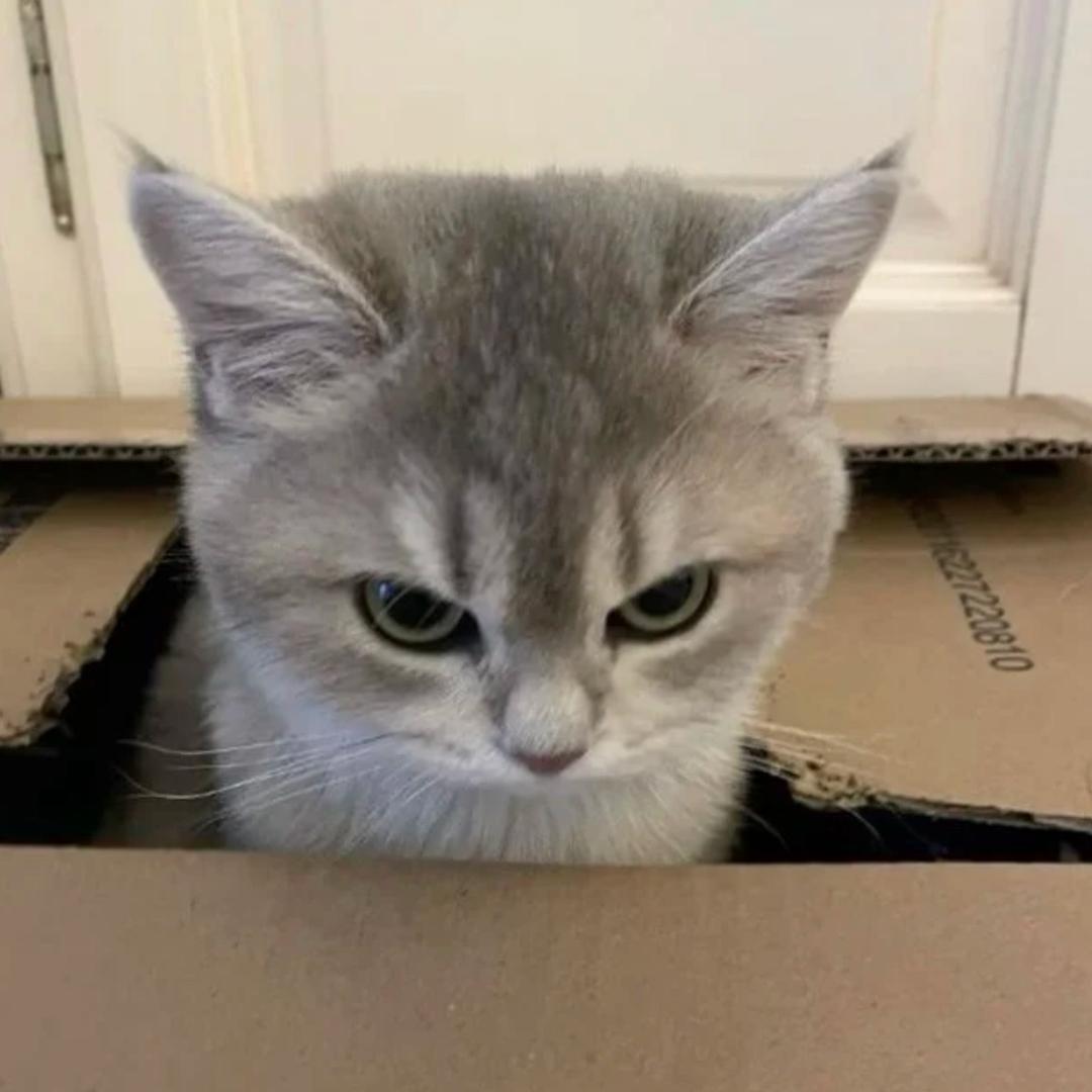 -_-