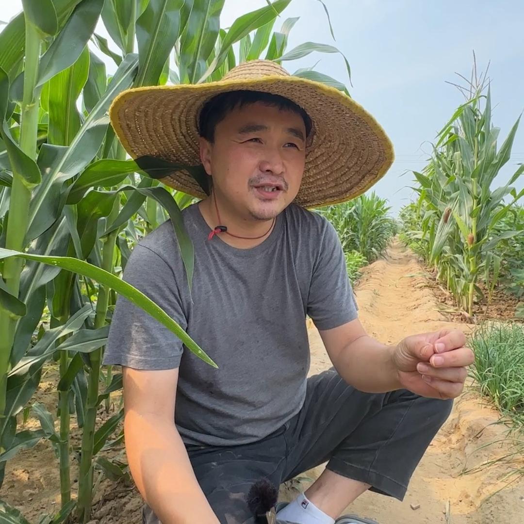 武沛齐讲技术