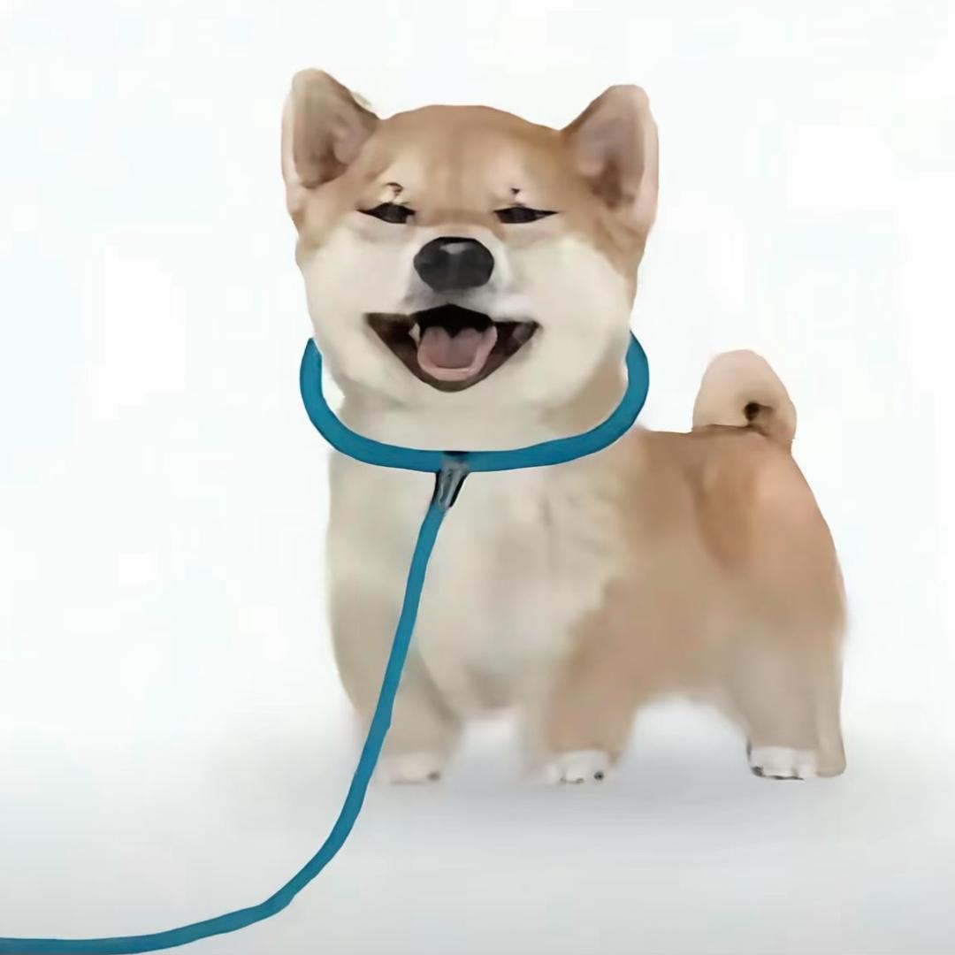 司旭东💫🇨🇳